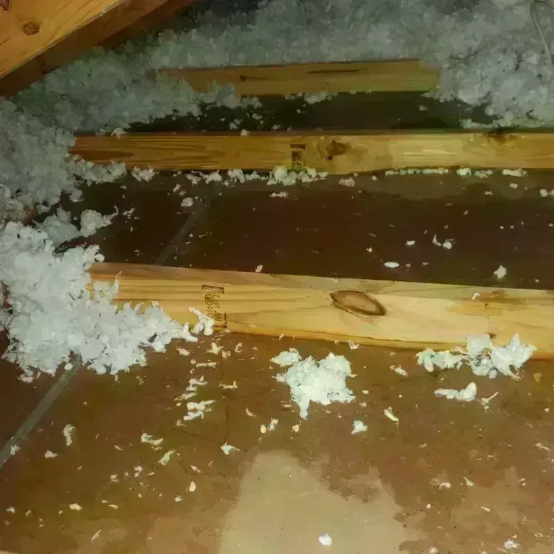 Attic Water Damage in Helotes, TX