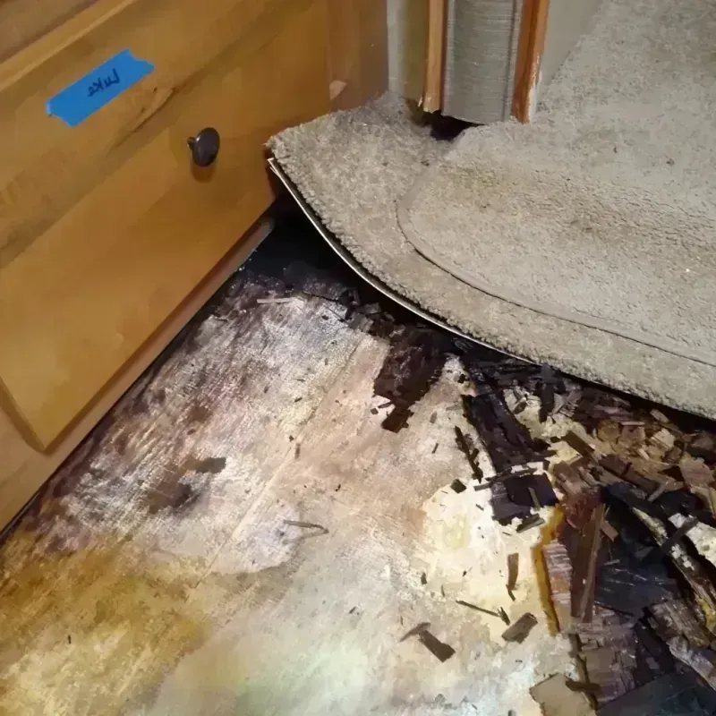 Wood Floor Water Damage in Helotes, TX